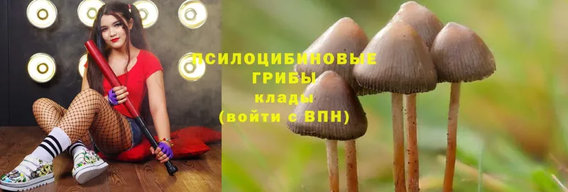 Псилоцибиновые грибы GOLDEN TEACHER  Кувандык 